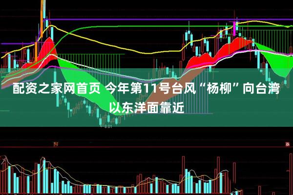 配资之家网首页 今年第11号台风“杨柳”向台湾以东洋面靠近