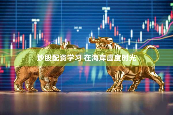 炒股配资学习 在海岸虚度时光