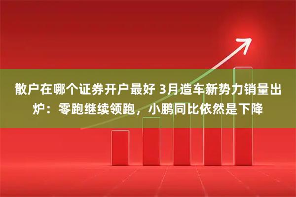 散户在哪个证券开户最好 3月造车新势力销量出炉：零跑继续领跑，小鹏同比依然是下降