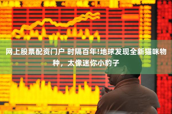 网上股票配资门户 时隔百年!地球发现全新猫咪物种，太像迷你小豹子