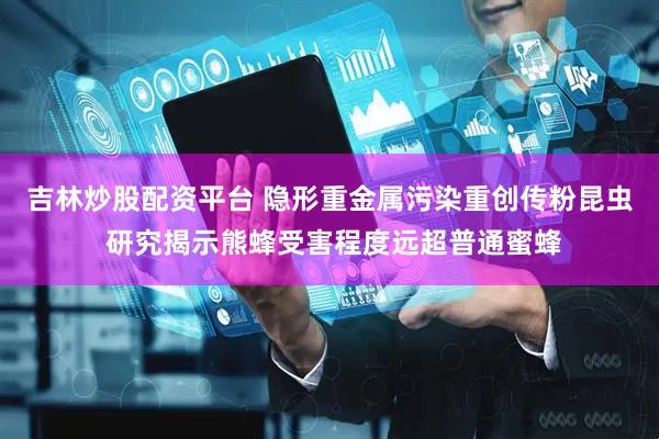 吉林炒股配资平台 隐形重金属污染重创传粉昆虫 研究揭示熊蜂受害程度远超普通蜜蜂